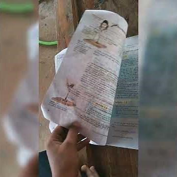 10 std science 1 lesson important topic and activity