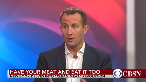 What is "clean meat" and should you be eating it?