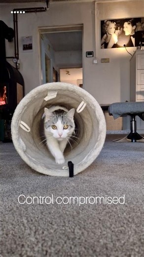 Interference. | FiveCatsPOV