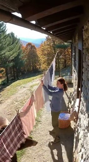 Marsican Brown Bear Pins Woman at Mountain Cabin Clothesline #brownbear