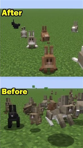 Minecraft New Update Is Here