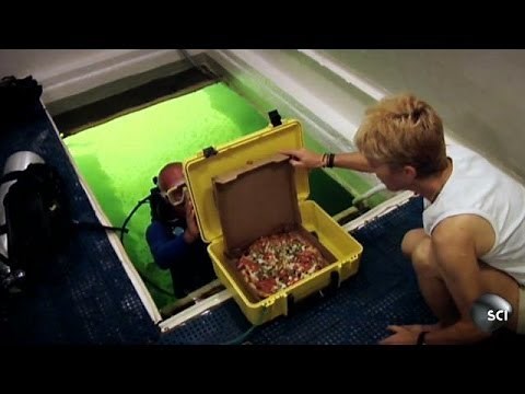 Scuba-Diving Pizza Delivery Man | World's Strangest