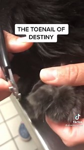 VERY ingrown claw relief