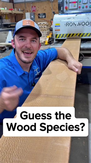 Can You Name This Wood? Test Your Wood ID Skills