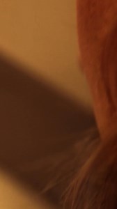 COHERENCE - A film product from Oscilloscope Laboratories | Oscilloscope Laboratories