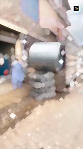 1.2M views · 4.5K reactions | Steel coil... #shorts #animals...