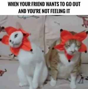 Leave the drama at home! The Valley is all about having a great time! Who do you know that needs a reminder? #DontStopTheFun #LeaveTheDramaAtHome | Don't Stop The Fun