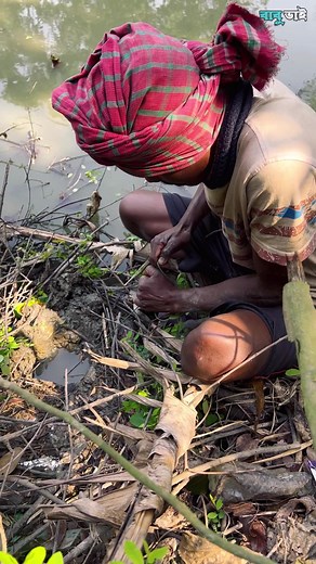 Kuche fish | বাবু ভাই