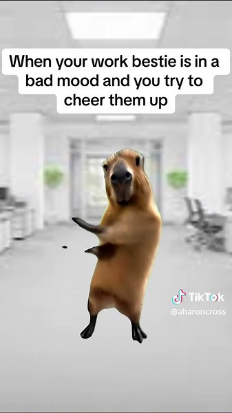Cheering Up Your Work Bestie: Memes and Humor for a Better Work Life