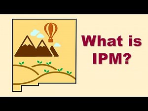 Introduction to IPM