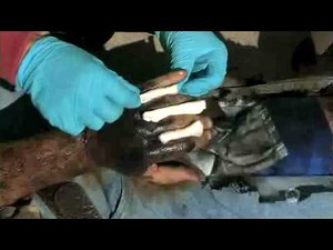 ASHI Basic First Aid - Major Burns