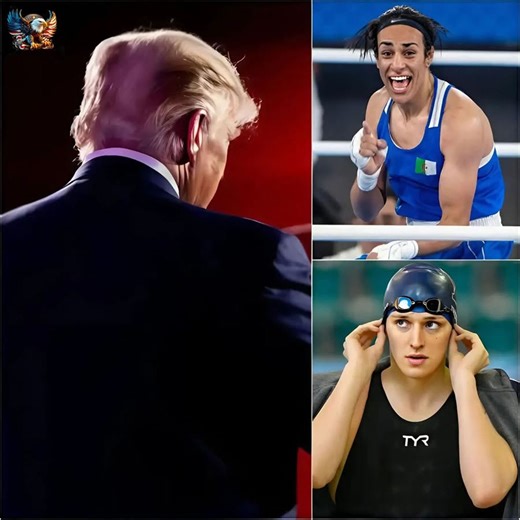 🏆 The "Biological Truth" Mandate: Trump’s Executive Order That Just Redrew the Lines of American Sports The landscape of American athletics has been fundamentally altered. In a historic and highly polarizing move, President Trump signed Executive Order 14201, titled "Keeping Men Out of Women's Sports," declaring that the "war on women’s sports is over." This isn't just a policy statement—it’s a financial and legal ultimatum that targets every level of competition, from elementary school playgro