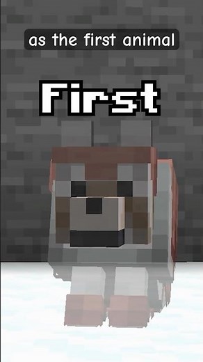 First Dog in Space #minecraft #shorts