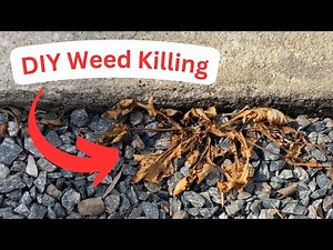 DIY Weed Killing | Spectracide Concentrate Review | Before and After Comparison | Home Maintenance