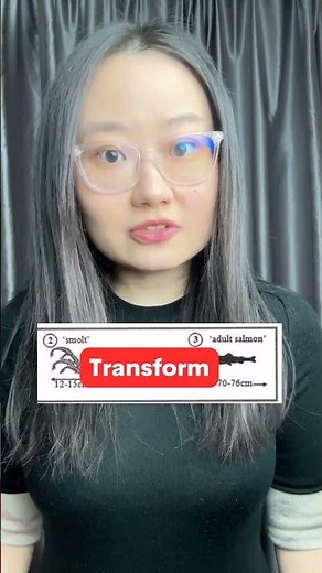 ✊ 6 useful verbs to describe a life cycle - writing task 1 process diagram vocabulary