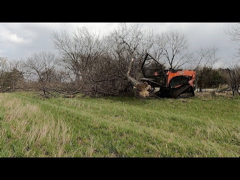 Kubota SVL 95-2 and Ground Force Tree Saw Side Clearing Fence Row!