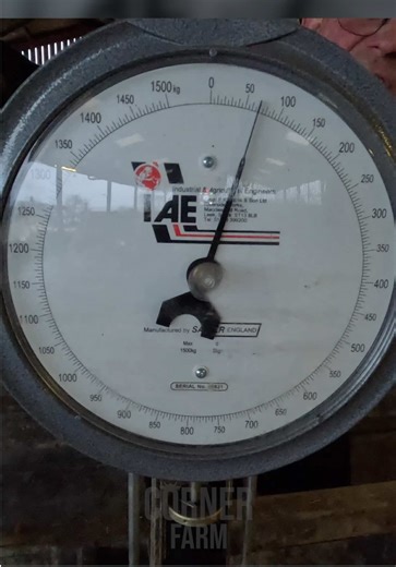 Troubleshooting Broken Scales in Farming