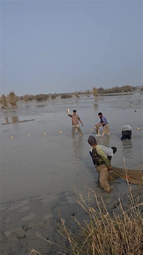 Understanding Fish Behavior and Fun Facts