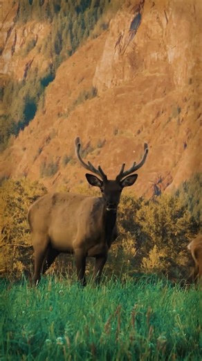 The Best City for Adventure in Washington