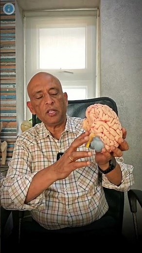 Brain death criteria explained by neurosurgeon! When is someone medically dead? #BrainDeath