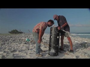 Einsame Insel im Pazifik versinkt im Müll