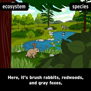 Thousands of species can live in one ecosystem. When different populations of different species interact, they form a community—but it's not always neighborly! 😲 https://brnpop.co/3wQdMJ6 | BrainPOP