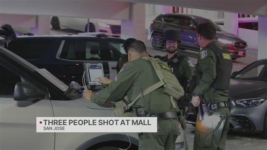 Three people shot at mall in San Jose