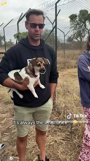 Funny Dog Reactions to Other Animals 🐶🤣