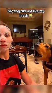 🐶 Dogs Doing Calculus - Smarter Than Your Math Teacher! 🧮