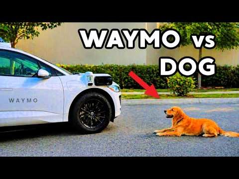 30 More Minutes of WAYMO Accidents and Fails (self-driving car)