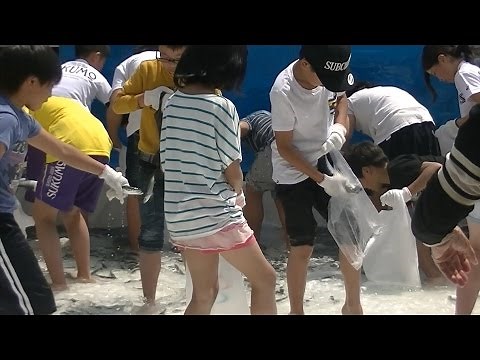 魚のつかみ取り 小学校高学年（4年生～6年生） その２