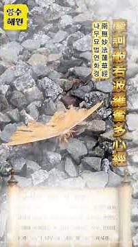 향수해원 "법화경사경전법회" 나무묘법연화경 나무묘법연화경 나무묘법연화경_()_ 나무석가모니불 나무석가모니불 나무시아본사석가모니불_()_
