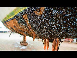 INGENIOUS Barnacles Removing From Ships And Boat SATISFYING Barnacles Removing Process #9