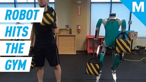 This autonomous robot can outsquat you
