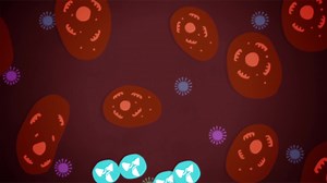 Understanding the outbreak of a Virus