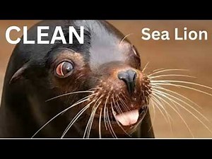 (CLEAN) Sea Lion Rap "Yuno Miles"