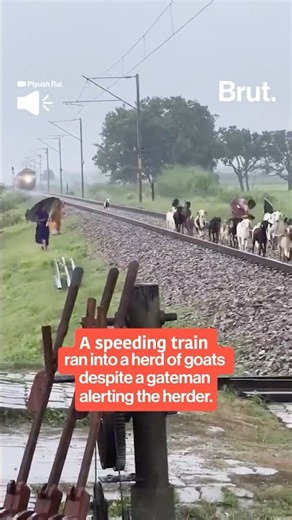 Train runs over 20+ goats in Uttar Pradesh