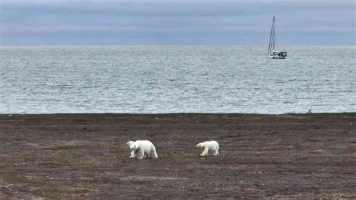 Maritime Ice Passage: Navigating Active Sea Ice Under Extreme Pressure