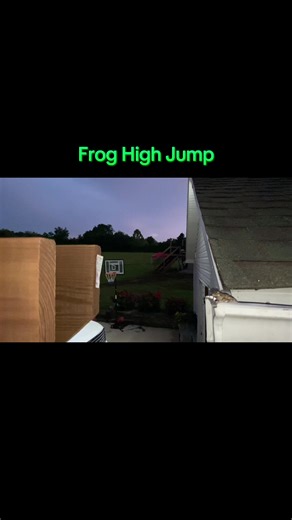 Pamper Moony Frog: A High Jump Adventure