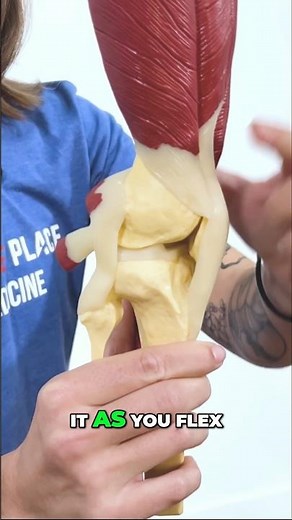 Patella Femoral Pain Syndrome EXPERTS Reveal the Hidden Causes