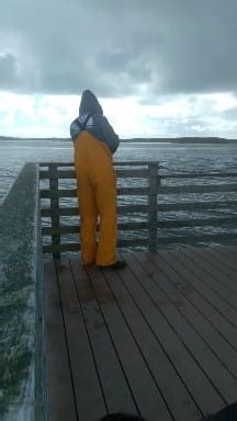 9.1K views · 23 reactions | Crabbing at Lincoln City Taft 呂 | James Gregoire | Facebook