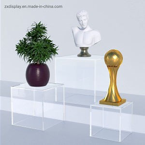 [Hot Item] Multifunctional Clear Acrylic Museum Display Box Riser Cube for Collectibles