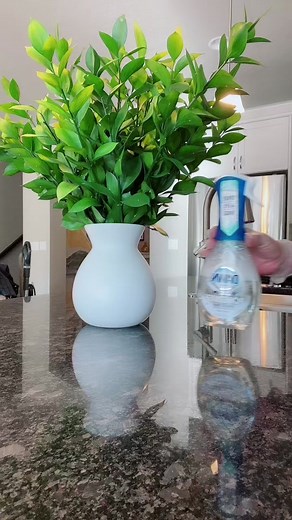 Rosa Cleaning Services: Love Cleaning for You