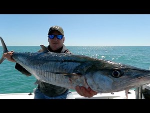 Spanish mackerel rig tips & catch