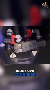 3.8K views · 60 reactions | Upgrade your aquarium setup with...