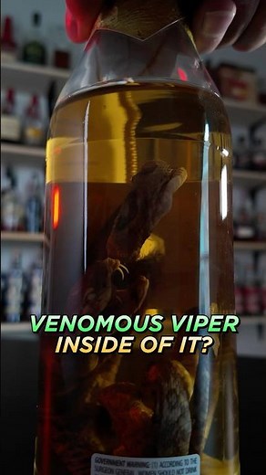 This Bottle of Liquor Has a SNAKE in it!