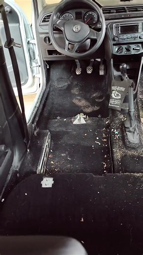 Detallado a Domicilio: Antes y Después