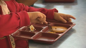 Proposal for universal school lunches
