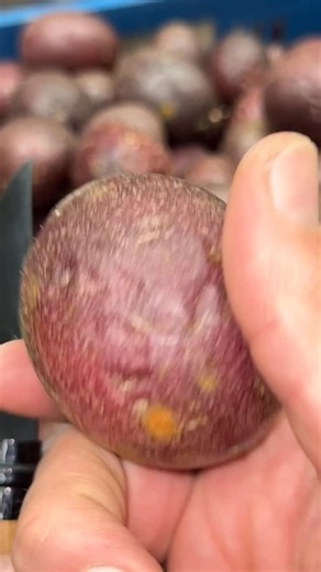 2.3K views | Little fruit, BIG flavor energy  Fresh organic passion fruits back in stock 襤 | Sasoun Produce | Facebook