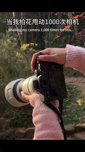When I rotated the camera 10,000 times while photographing flowers, I captured a completely diffe...